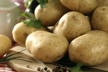 Lire :Des pommes de terre pour tous les goûts et tous les plats